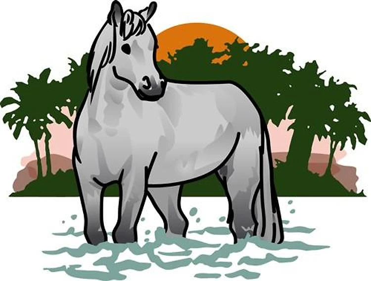Island Horse