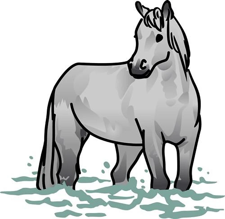 Horse In Water