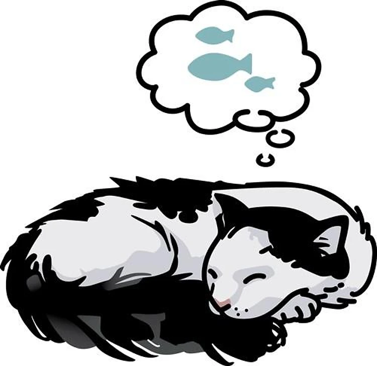 Cat Dreaming Of Fish