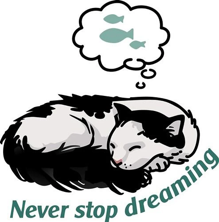 Never Stop Dreaming