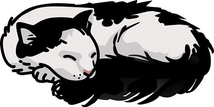 Cat Sleeping