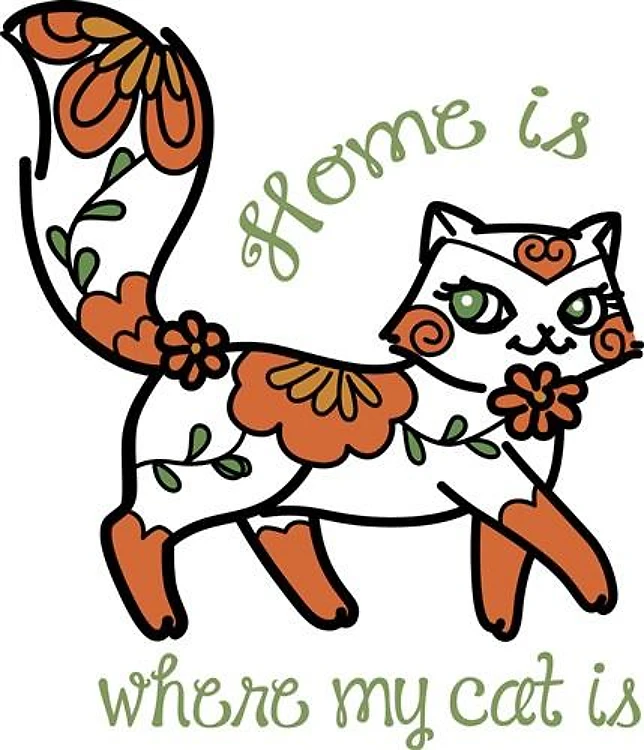 Home Is Where Cat Is