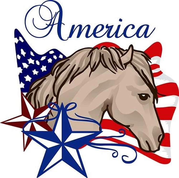 America Horse And Flag