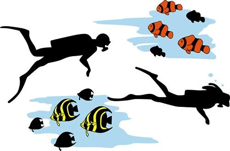 Scuba Diving Scene