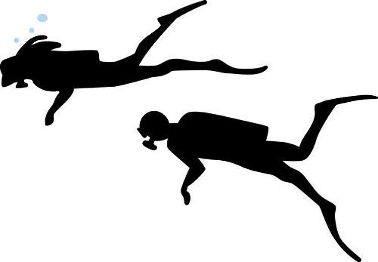 Scuba Divers
