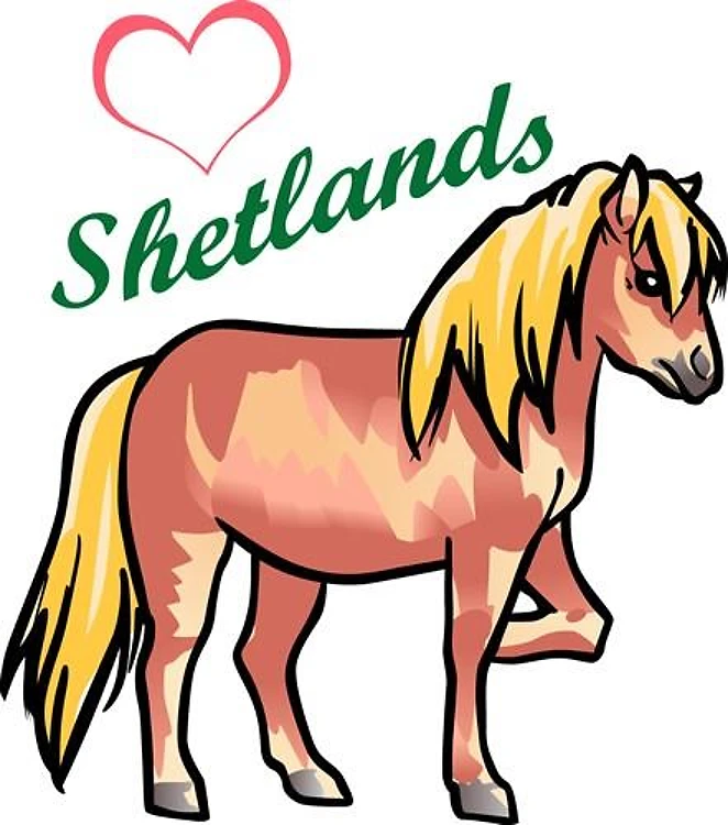 Love Shetland Ponies