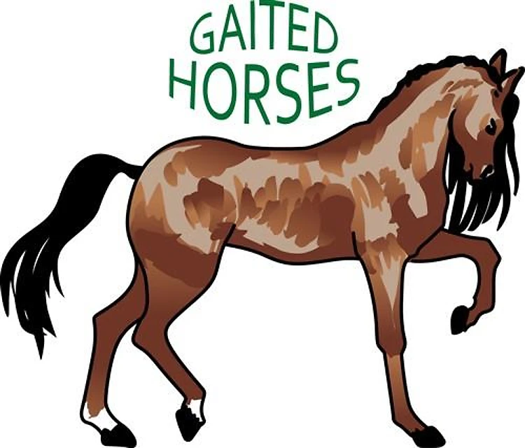Gaited Horses