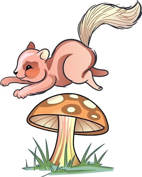 Squirrel Jumping Mushroom