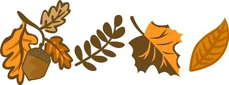 Fall Leaves Border