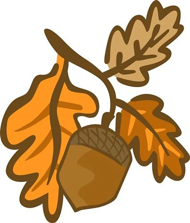 Fall Oak Leaves Acorn