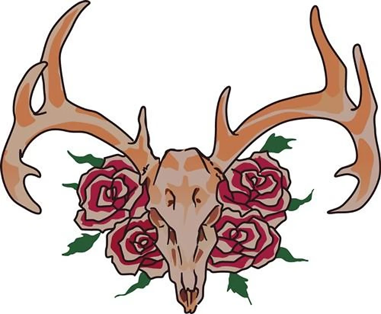 Deer Skull Smaller