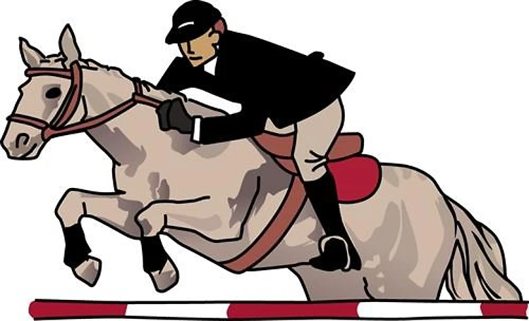 Equestrian Hunter Jumper