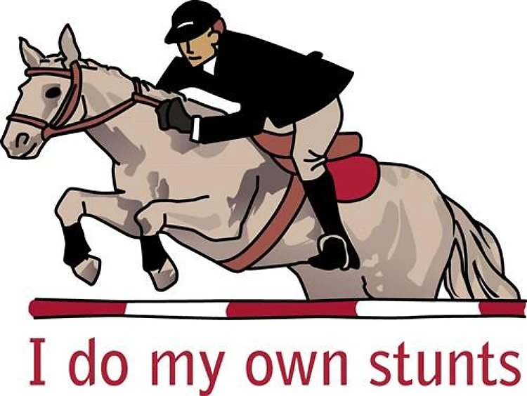 I Do My Own Stunts