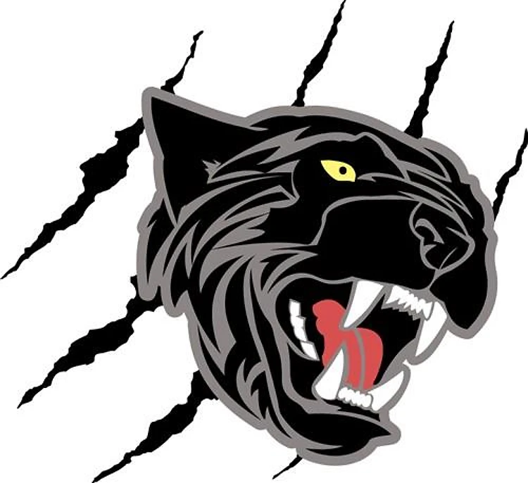 Panther Head Claw Marks