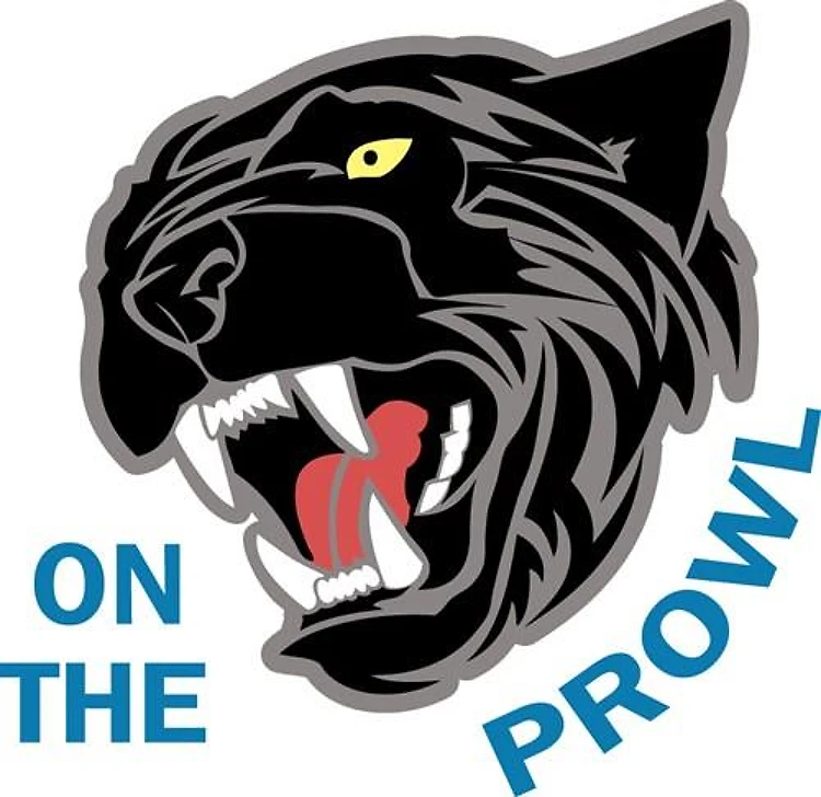 Panther On The Prowl