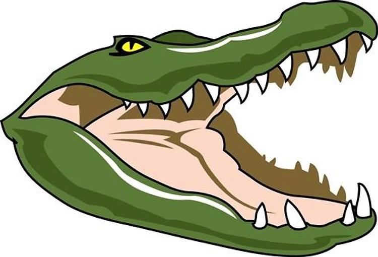 Gator Head