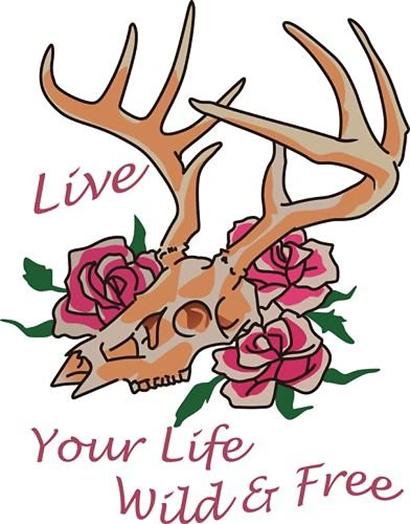 Live Life Wild And Free