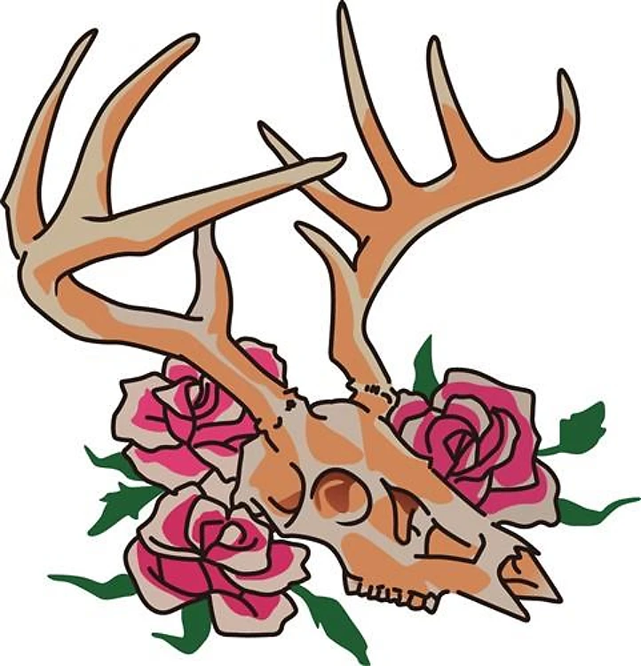 Deer Skull Smaller