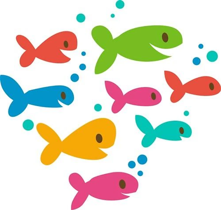 School Of Fish