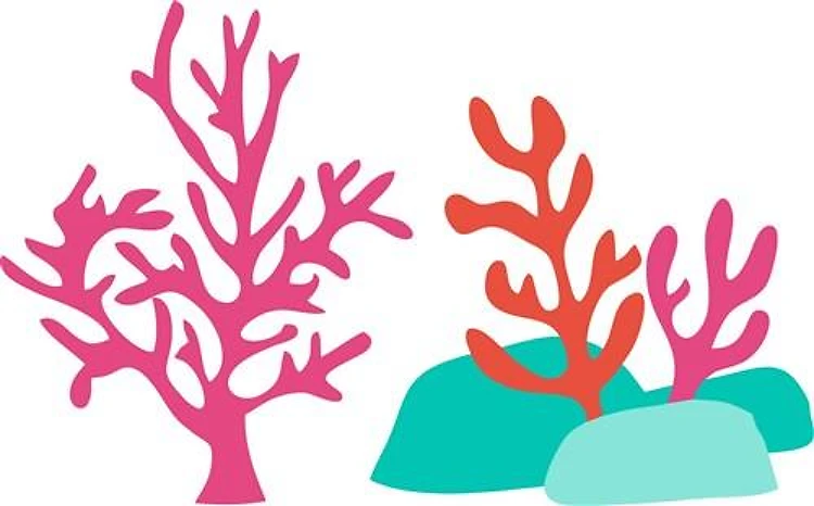 Sea Coral
