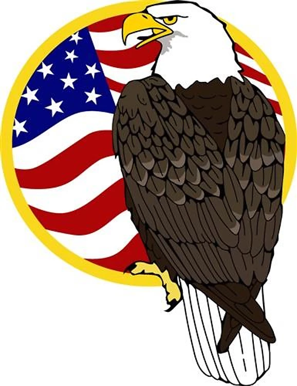 American Flag Eagle
