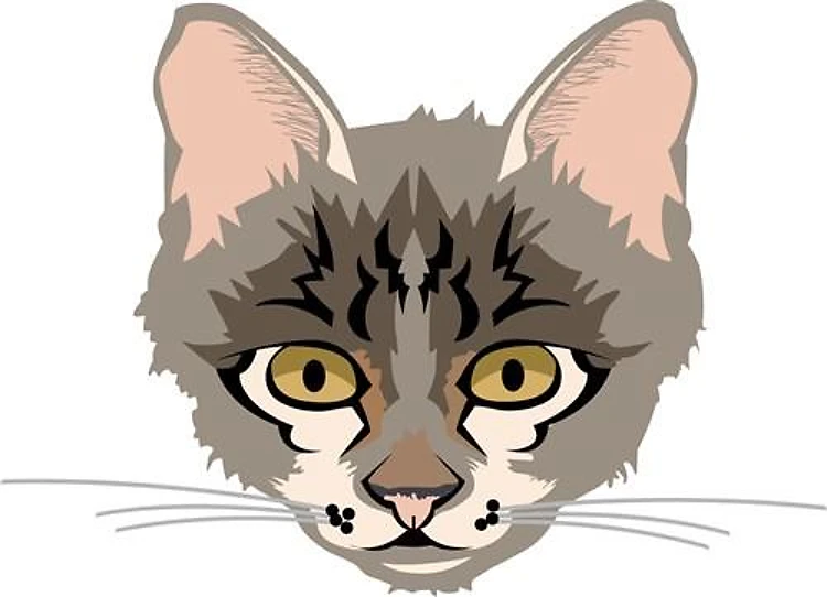 Cat Face