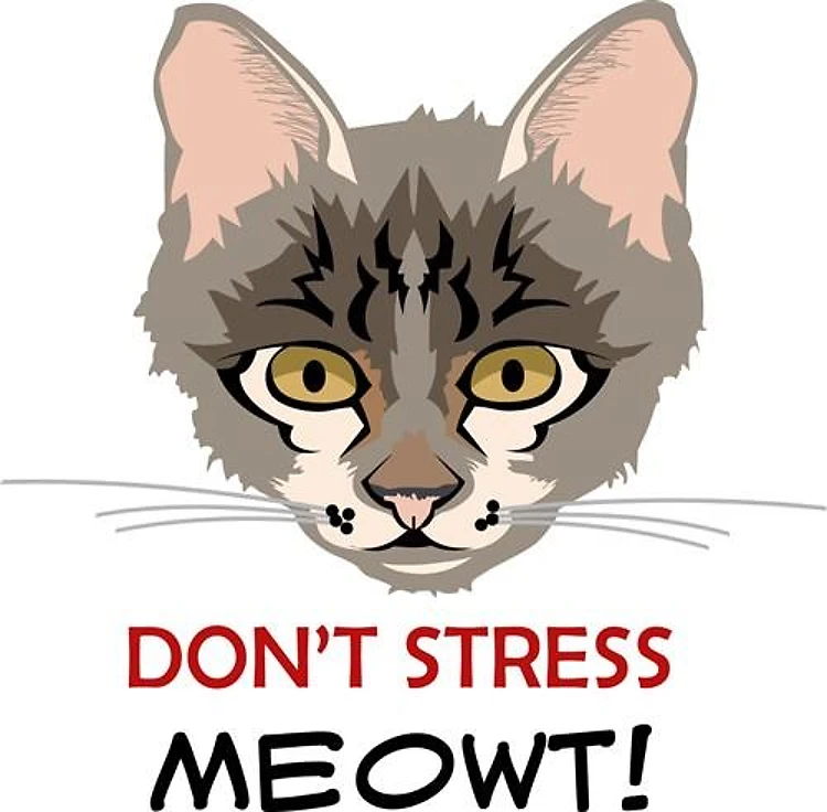 Dont Stress Meowt