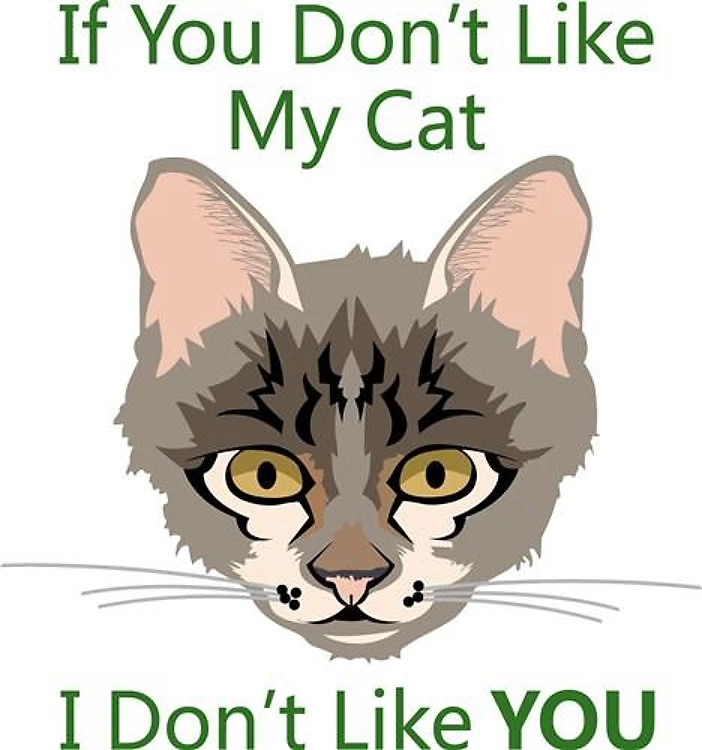 If You Dont Like My Cat