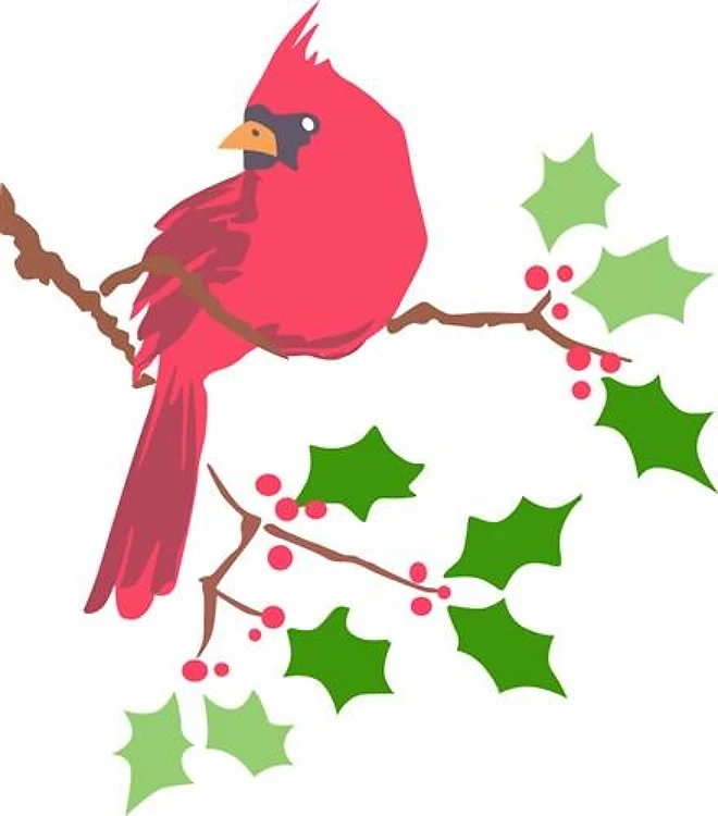 Cardinal On Holly