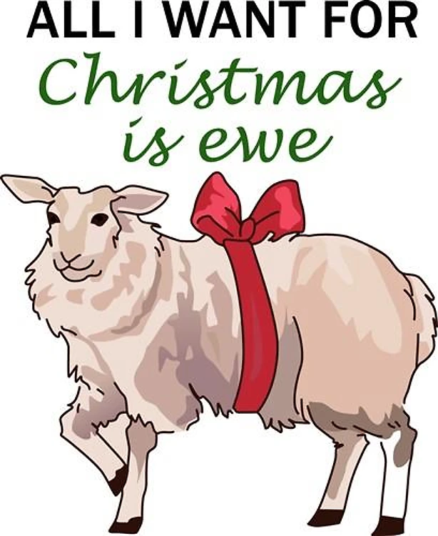 All I Want Is Ewe