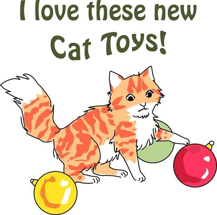 New Cat Toys