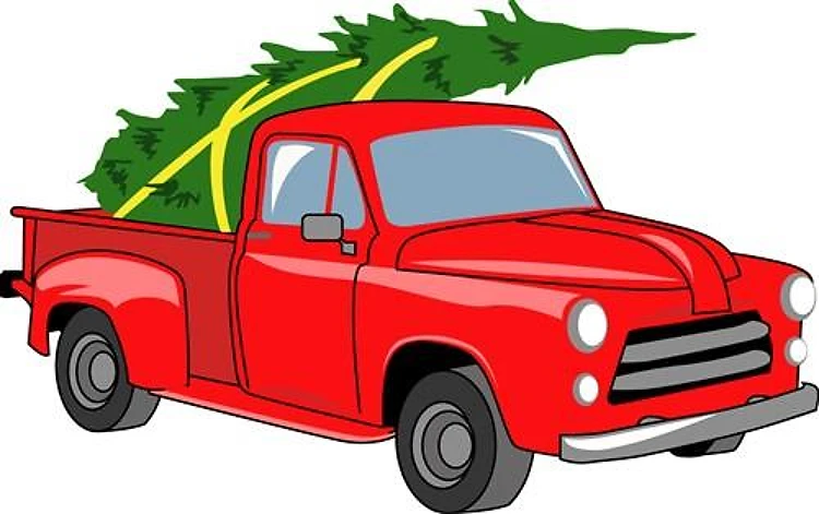 Bringing Tree Home