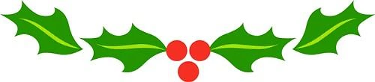 Holly Berry Border