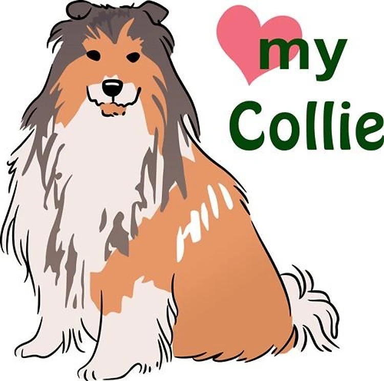 Love My Collie