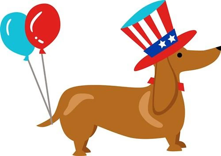 Patriotic Dachshund