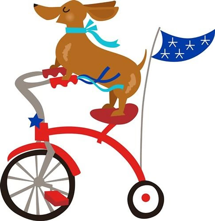 Dachshund On Bike