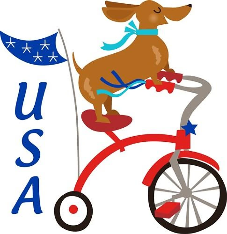USA Dachshund