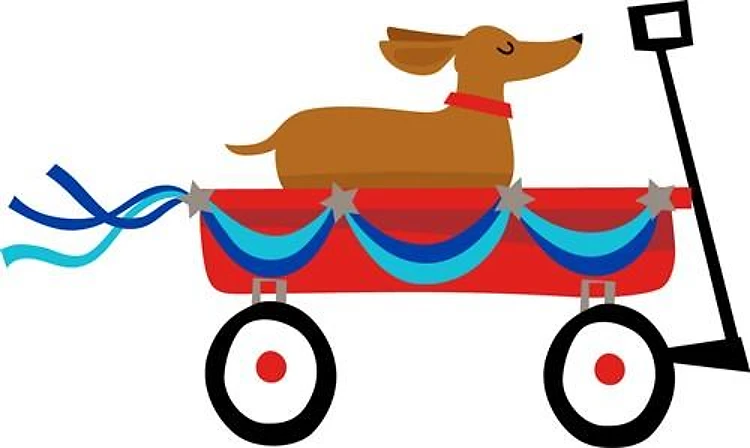 Dachshund In Wagon