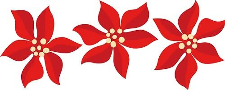 Poinsettia Border