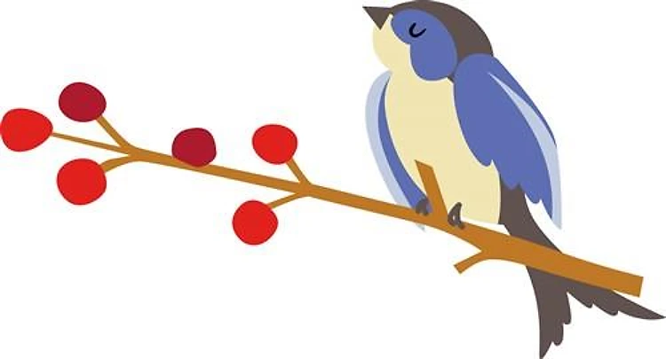 Winter Blue Bird On Branch
