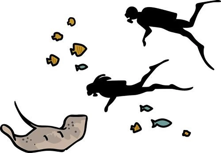 Scuba Divers