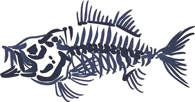 Mean Fish Skeleton