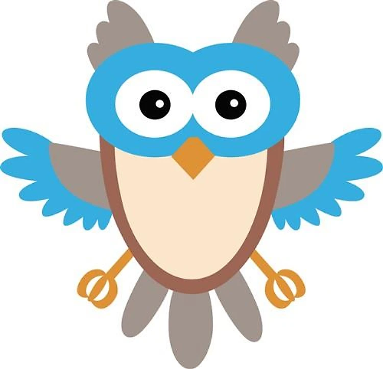 Baby Boy Owl