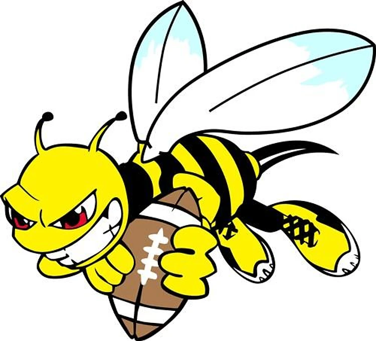 Yellow Jacket Hornet