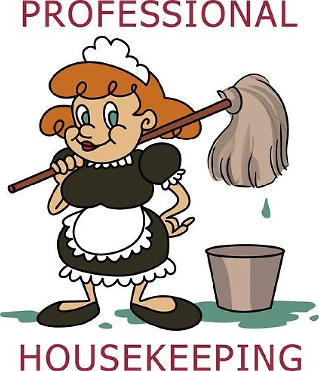 Professional Housekeeping