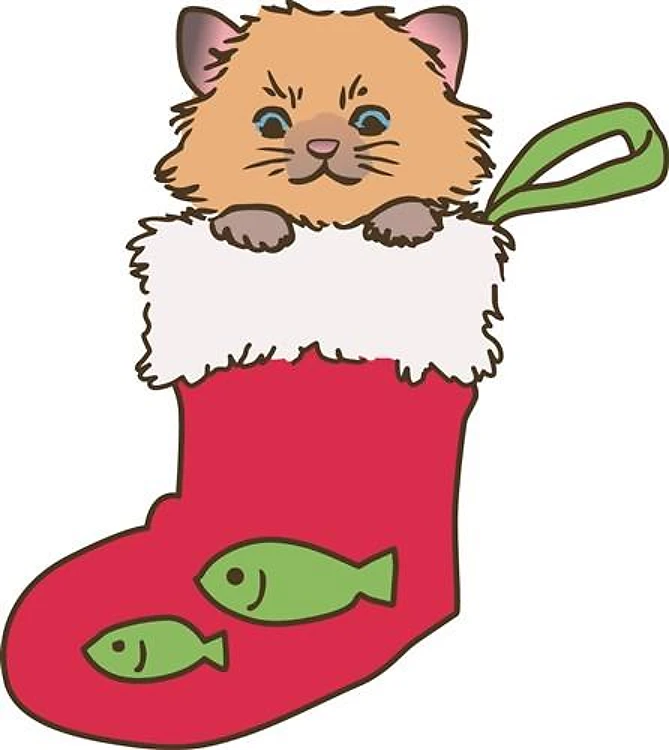 Kitten In Stocking