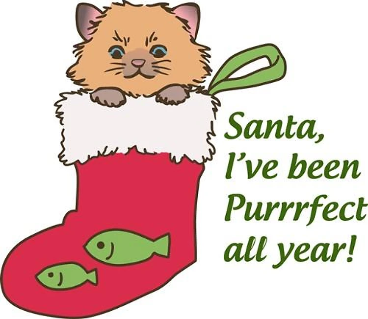Purrrfect All Year