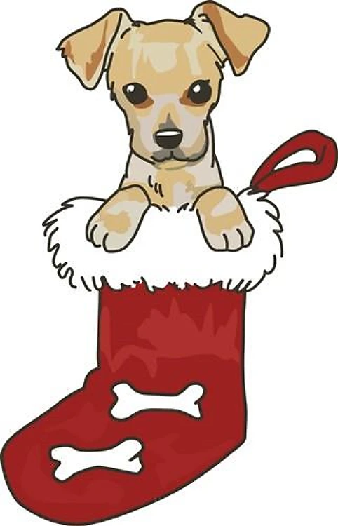 Puppy In Stocking