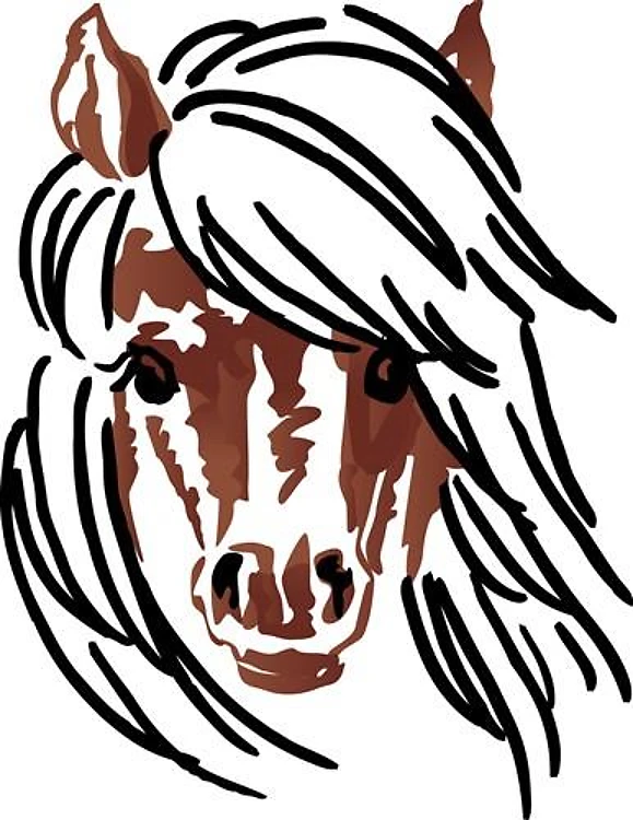 Pony Head