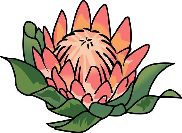 King Protea Flower